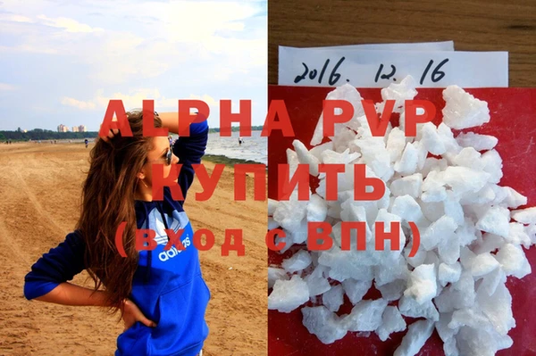 стафф Алзамай