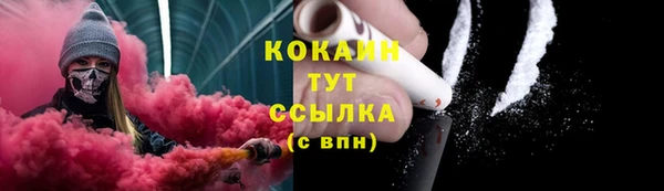 соль ск Алексин