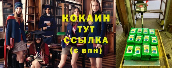 стафф Алзамай